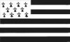 drapeau breton.jpg