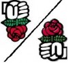 rose ps.jpg